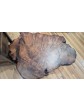 Redwood Burl Coffee Table
